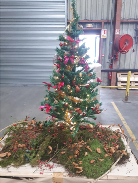 sapin-1